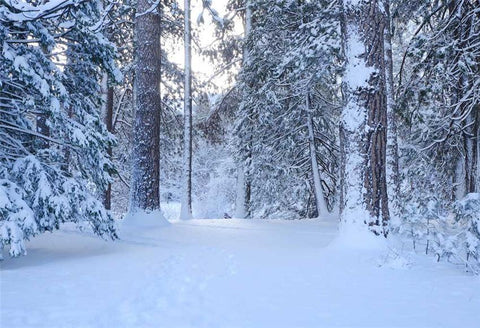 Snow Forest Winter Photo Backdrop for Christmas