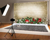 Christmas Backdrop Light Brown Snow Wooden Photography Prop