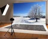 Winter Photo Studio Backdrop Blue Sky Snow Background