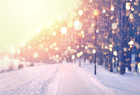 Shiny White Winter Snow Photography Backdrop