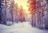 Sunset Winter Forest Pine Backdrop for Photography