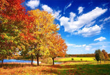 Autumn Red Maple Tree Blue Sky Photo Backdrops