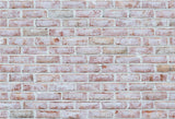 White Red Vintage Brick Photo Backdrop