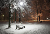 Snow Winter Park Wonderland Backdrops
