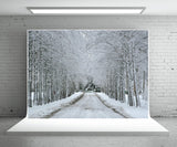 Snow Wonderland Road Winter backdrop for Photography Prop