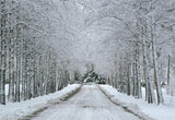 Snow Wonderland Road Winter backdrop for Photography Prop