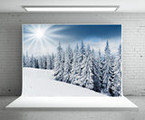 Sunlight Snow Forest Photography Backdrop Winter Background