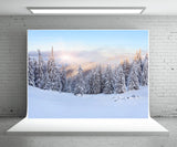 White Snow Forest Mountain Photo Backdrop Winter Background
