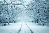 White Snow Road Photography Backdrop Winter Background