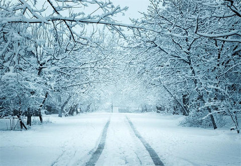 White Snow Road Photography Backdrop Winter Background