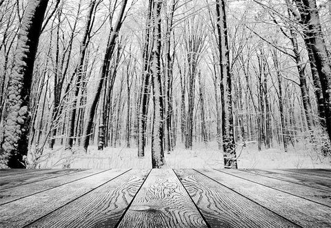 White Snow Forest Photography Backdrop Wood Floor Background