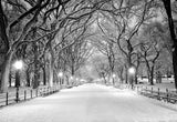 Winter Night Snow Road Photography Backdrop Christmas Background