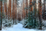 Winter Forest Photography Backdrop Snow Background
