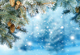 Winter Pine Branch Photography Backdrop Snow Background