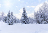 Snow Forest White Winter Wonderland Photography Backdrop
