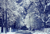 Winter Branches Winter Night Snow Road Photography Backdrop