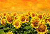Spring Sunflowers Photo Studio Backdrop for Session