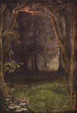 Forest Spider Web Halloween Photo Backdrops