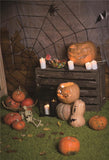 Spider Web Brown Wood Wall Halloween Backdrop for Studio