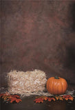Abstract Texture Haystack Halloween Photo Backdrops