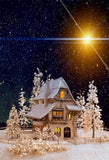 Night of Wonderland House Snow Flake Backdrops for Studio