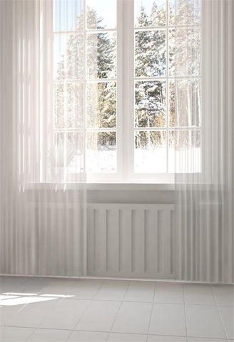 Winter Snow Windows White Cutrain Photo Backdrops