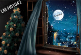 Window Christmas Photography Backdrop for Tester