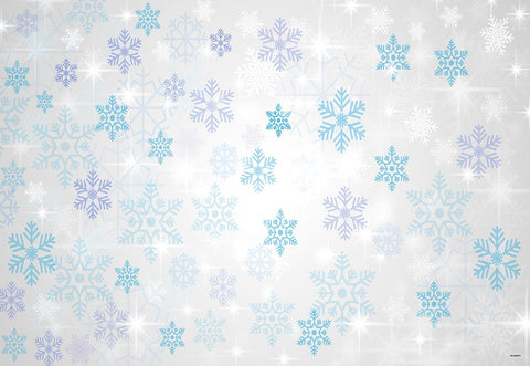 Snowflake Winter Christmas Backdrops for Prop