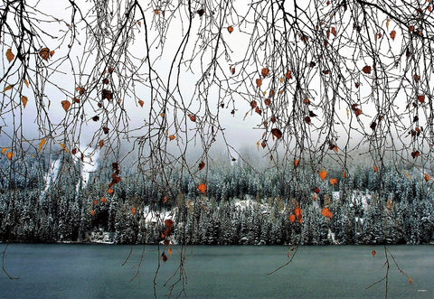 Autumn Winter Scenery Photography Backdrops