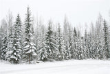 Snow Pine Snow Christmas Backdrop