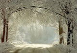 Winter Branches Snow Photo Backdrop