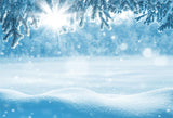 Snowflake Winter Photography Backdrop