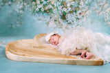 Portrait Floral Wedding Baby Show Backdrop for Photo Studio